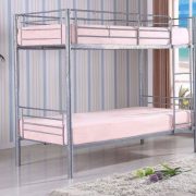 bertie-bunk